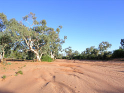 Scene of getting bogged next morning Silverton