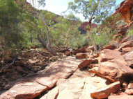 Fiona & Gerry trekked up Kings Canyon also