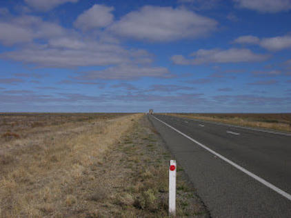 The Hay Plains - the first of many many trips across